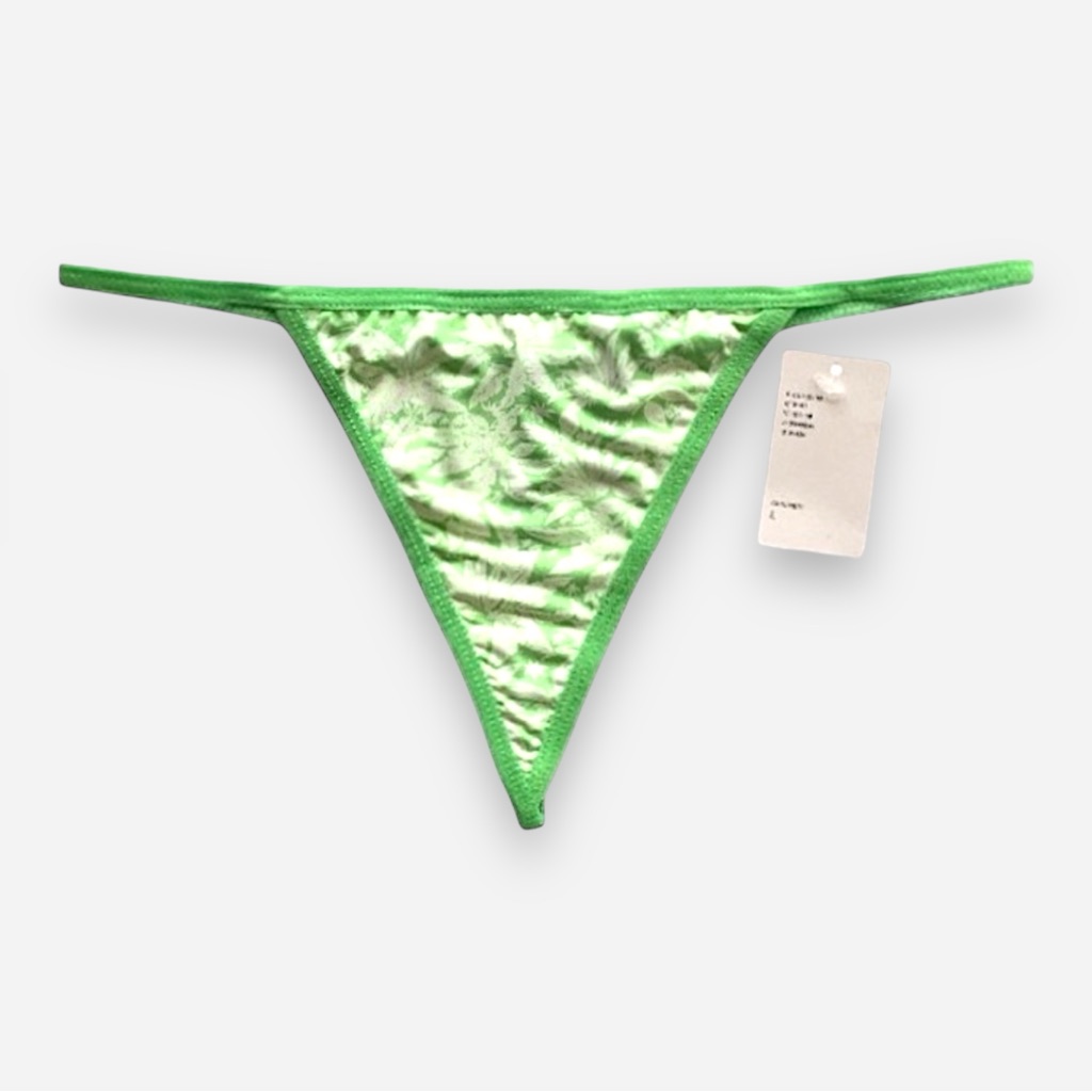 New Urban Outfitters V-String Panty L Nwt
